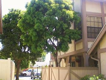 2nd image of 16085 Sherlock Ln #39