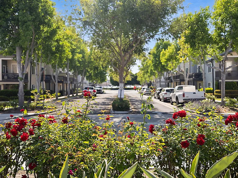 Arbors at Parc Rose — Photo 30