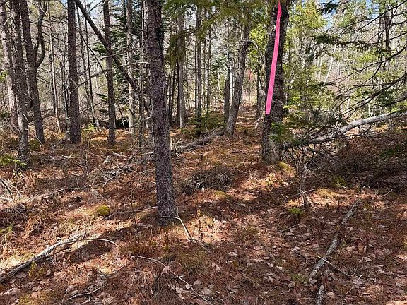 3rd image of LOT CL1 Palmer Rd