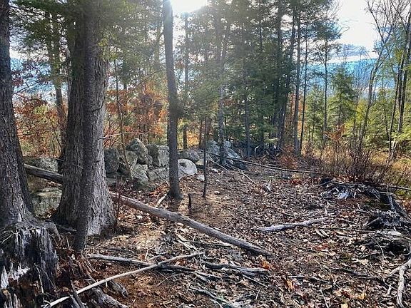 3rd image of Lot 1 Pequawket Trail