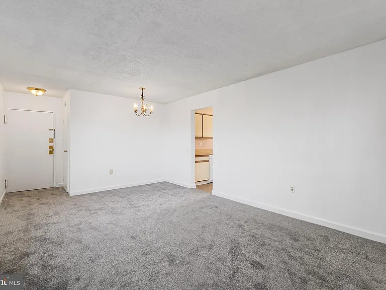 4717 1st St SW #303 — Photo 4