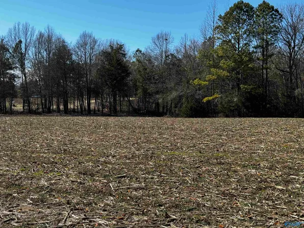 LOT 18 County Road 113, Centre, AL 35960