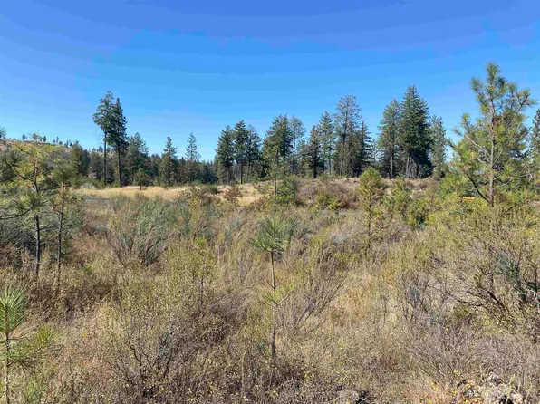 35300 N High Way #231, Reardan, WA 99029