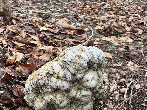 5th image of 0 N Fields Rd