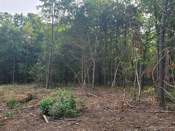 4th image of 1268 Meadow Creek Dr