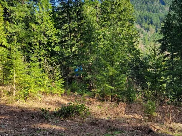 0 Acorn Lane, Marblemount, WA 98267