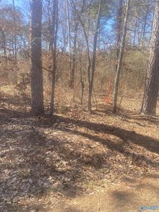 615 County Road 642, Cedar Bluff, AL, 35959