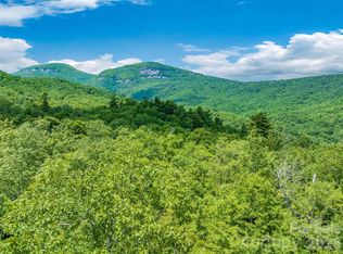 2 Cardinal Dr W #2-TRP, Lake Toxaway, NC 28747