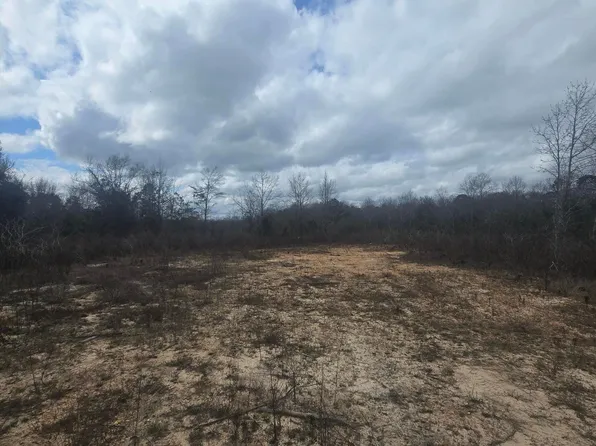 0 County Road 351, Maplesville, AL 36750