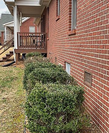 4th image of 115 Laveta Ln