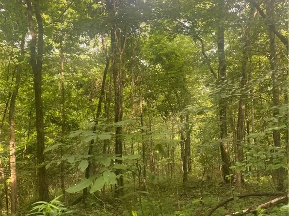 1818 Madison #4805, Pettigrew, AR 72752