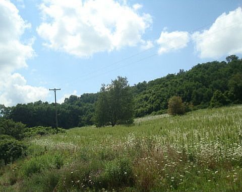 Additional view