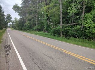 Trevett Rd LOT 4, Springville, NY 14141