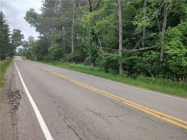 Trevett Rd Lot 4, Springville, NY 14141