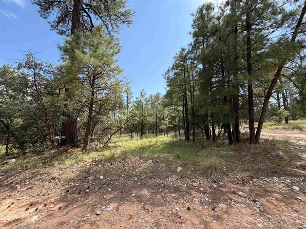 57 Dixwood Dr, Timberon, NM 88350
