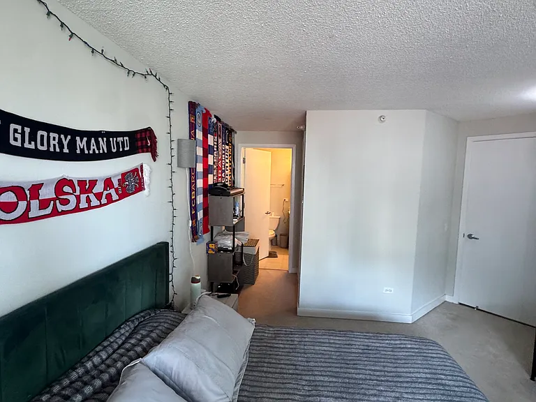545 N Dearborn St #1307 — Photo 9