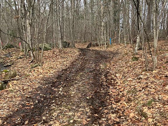 5th image of Franklin Pierce Highway