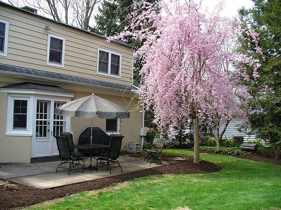 Back Yard filled with Lots of Perenial Spring Bliss