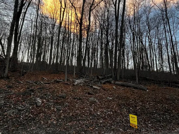 217 High Top Rd, Linden, VA 22642