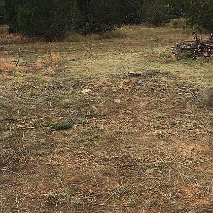 3rd image of 3378 Tonto Dr