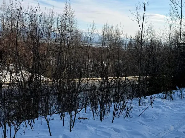 L1 W Togo Woods Rd, Wasilla, AK 99623