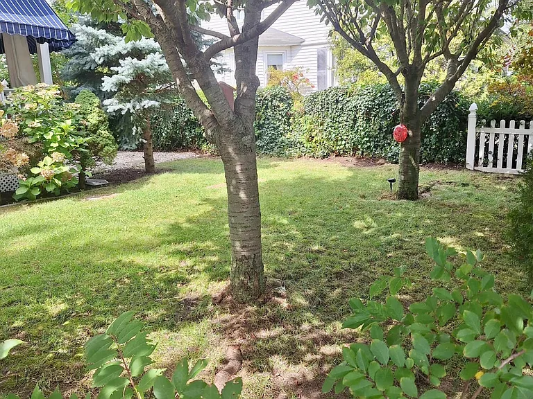 331 Richmond Ave — Photo 44