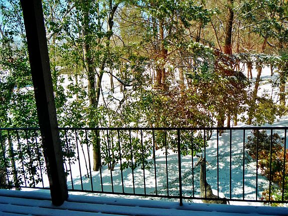 5th image of 3605 W Lawther Dr