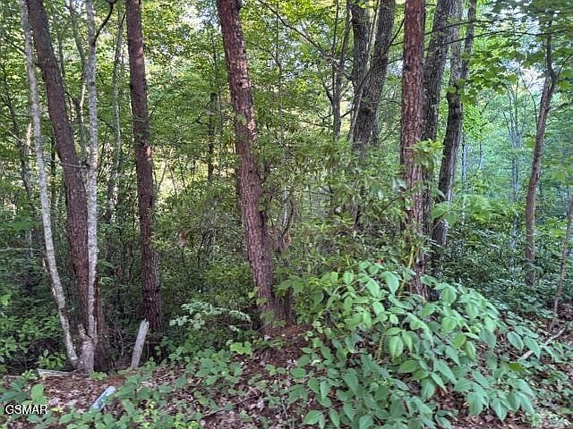2nd image of 1461 Ridgehigh Pass Lot 1461A