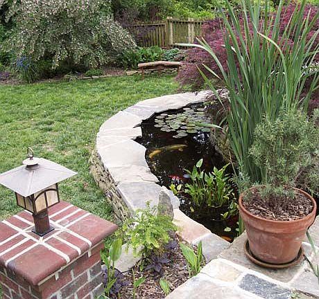 Koi Pond