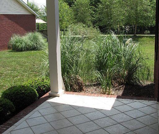 3rd image of 4800 Olivia Carson Ln