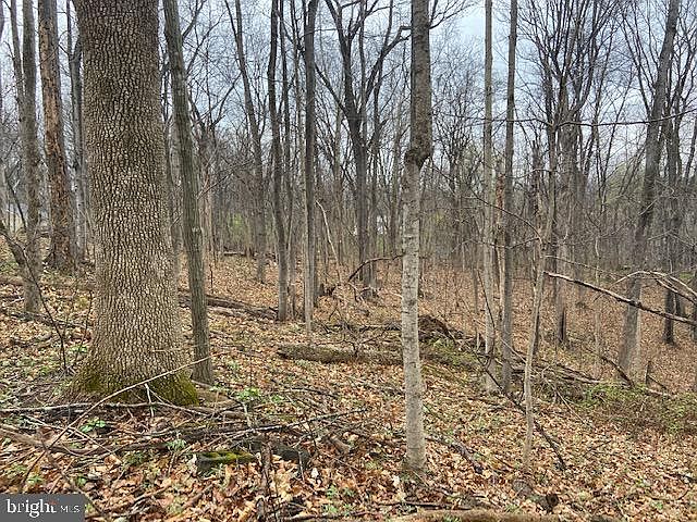 2nd image of 0 Sycamore Ct