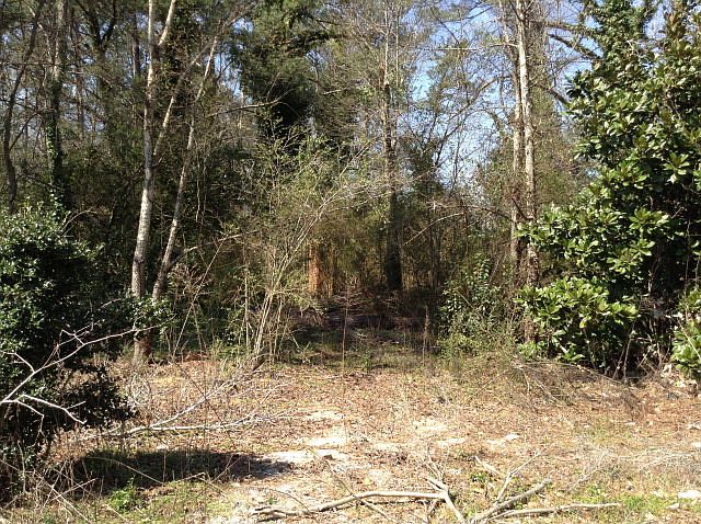 1st image of 56 Lee Road 302