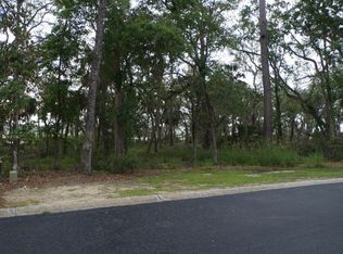 293 De La Gaye Point, Beaufort, SC 29902
