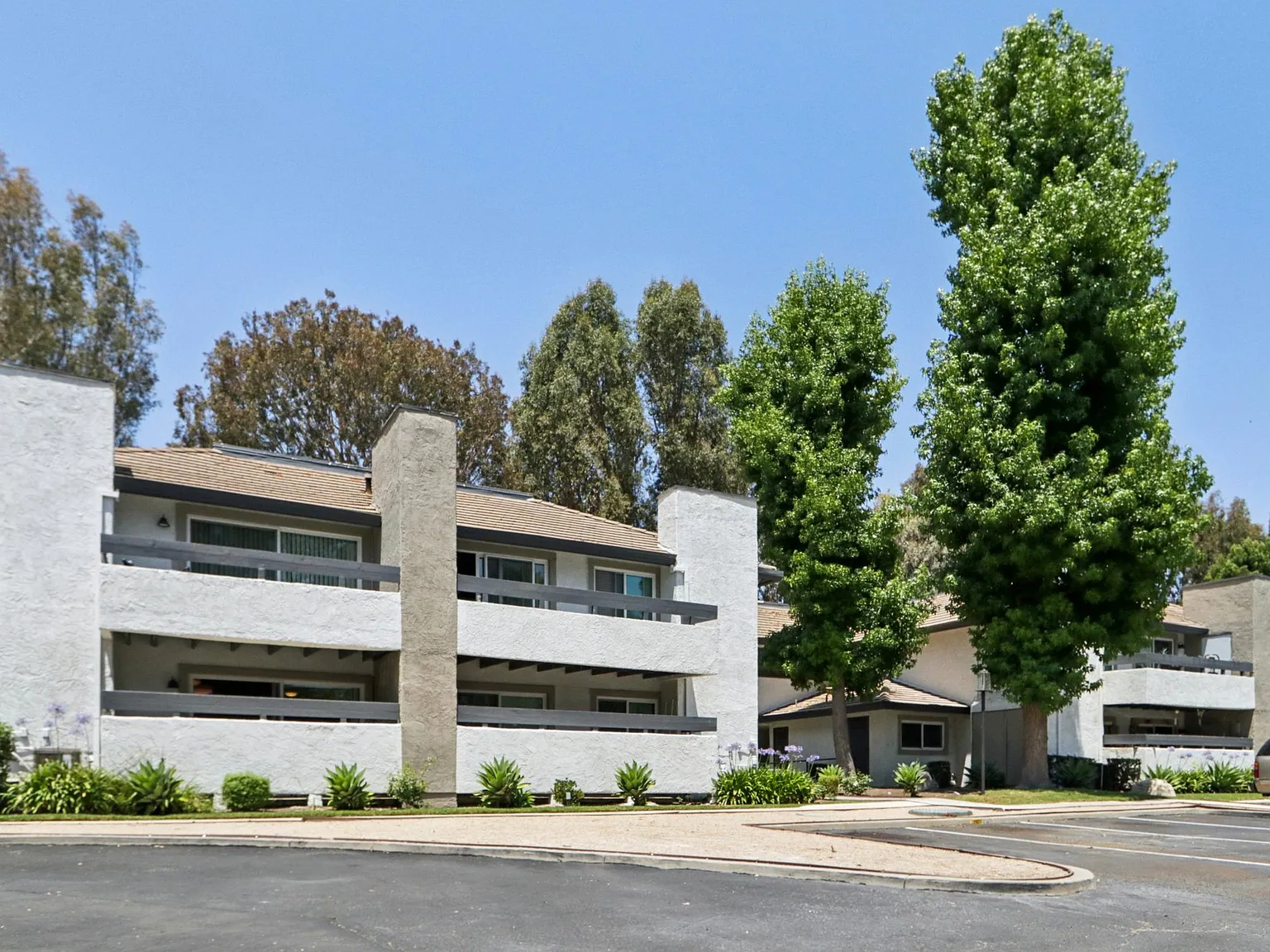 The Linden Apartments — Photo 2