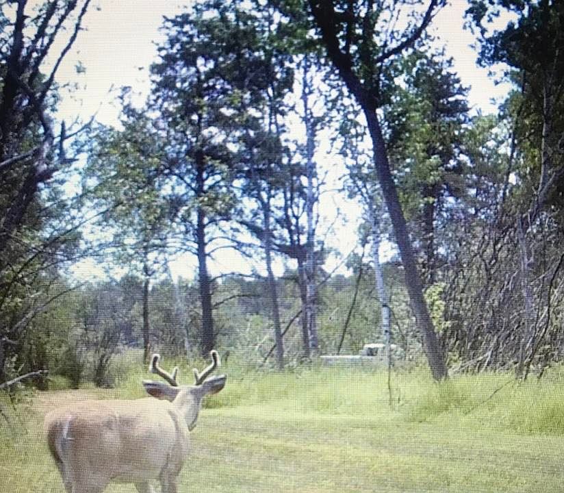1st image of 3390 Carney Ave
