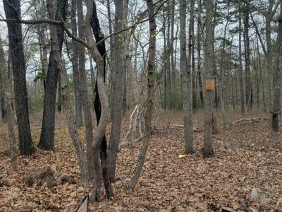 625 Avenue D, Vincentown, NJ, 08088