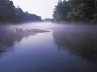 559 Riverstone Pkwy STE 110, Canton, GA 30114