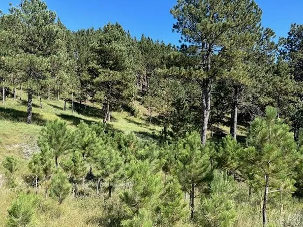 11468 High Valley Dr, Rapid City, SD 57702