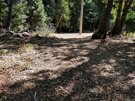 3rd image of 13730 Crawford Ln
