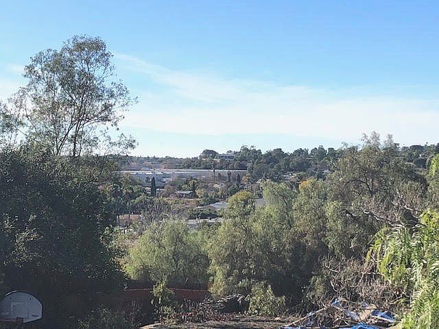 More Views