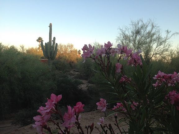 4th image of 5727 E Almeda Ct