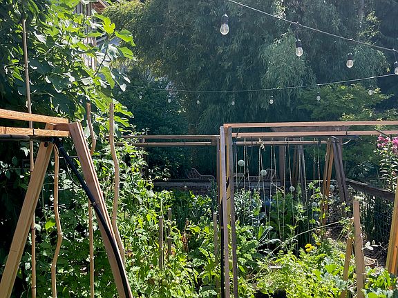 Garden.