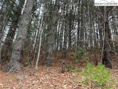 5 Speckled Drive, Laurel Springs, NC, 28644