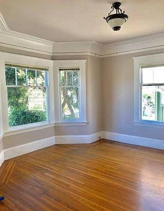5th image of 545 Duboce Ave APT 5