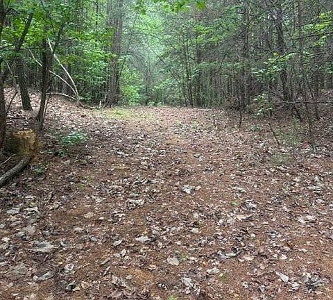 5th image of 0 Candies Creek Rd