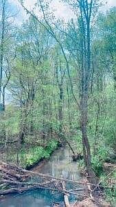 3rd image of A Milville Rd