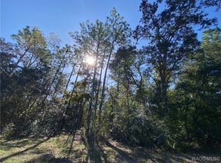 3042 W Falcon Ct, Lecanto, FL 34461