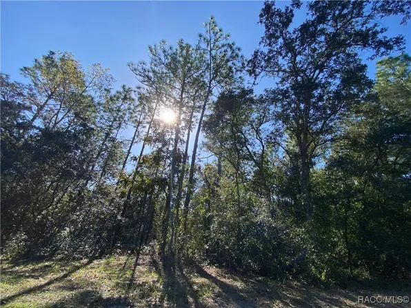 3042 W Falcon Ct, Lecanto, FL 34461