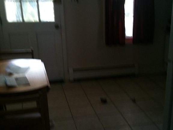 Kitchen and back door