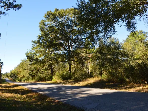 10 County Road 302, Plantersville, TX 77363